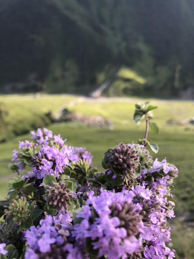 Pirikiti Hotell Akhmeta Exteriör bild
